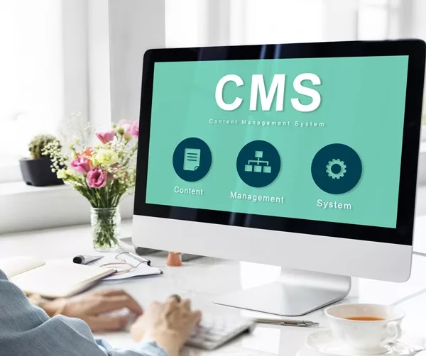 conception de site internet CMS WordPress dcomdo Dorothée Malingue