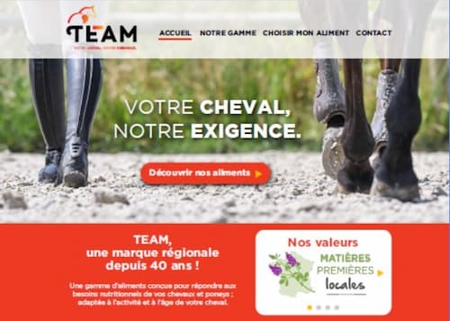 Création site internet Team alimentation équine
