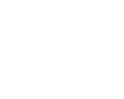 Plan de travail 1
